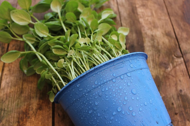 Create plant pots